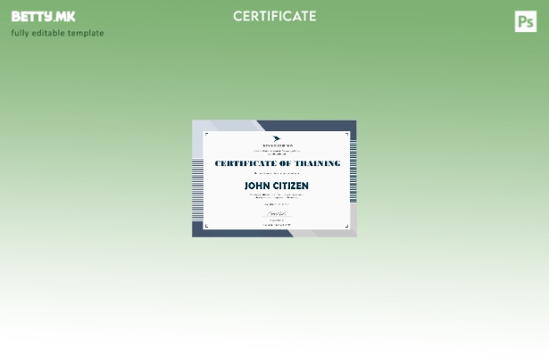 Модерен стил Шаблон за обука на компанијата во САД